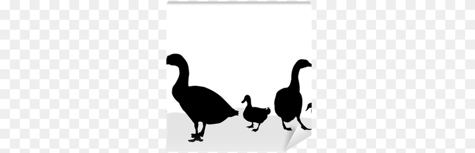 Goose Amp Duck Silhouettes Duck, Silhouette, Animal, Bird, Waterfowl Png Image