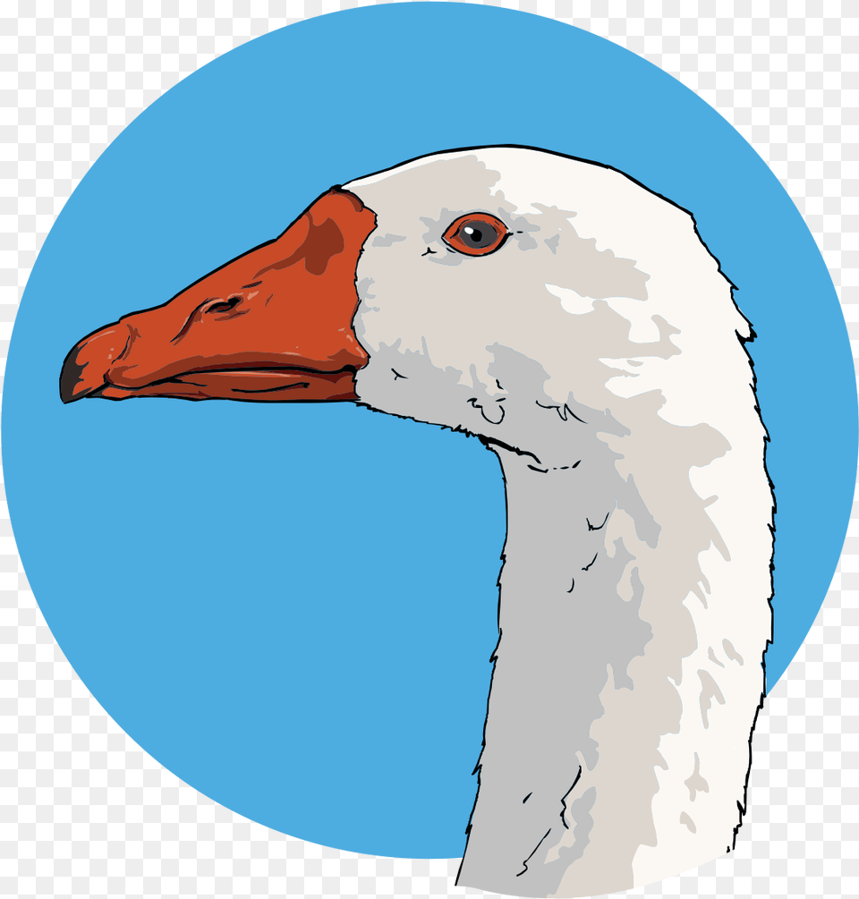 Goose Art, Animal, Bird, Waterfowl, Beak Png