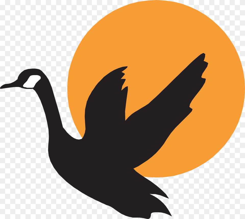 Goose Clip Art, Animal, Bird, Waterfowl, Silhouette Free Transparent Png