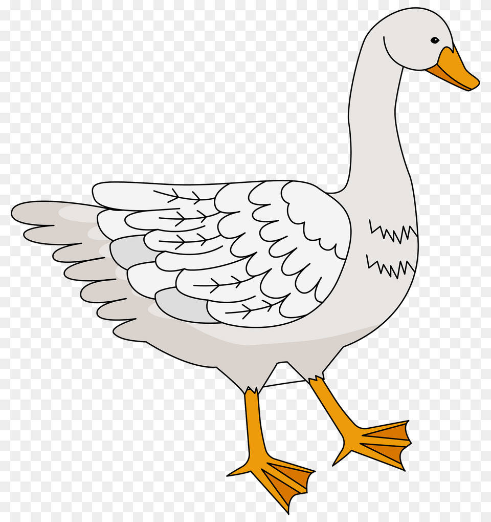 Goose Clipart, Animal, Bird, Waterfowl Png Image