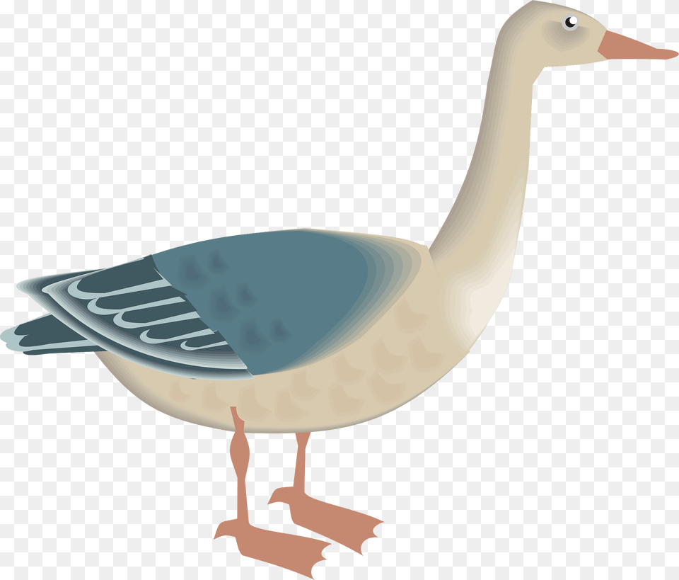 Goose Clipart, Animal, Bird, Waterfowl, Anseriformes Free Png Download