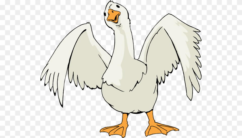 Goose Clipart, Animal, Bird, Waterfowl, Person Free Png Download