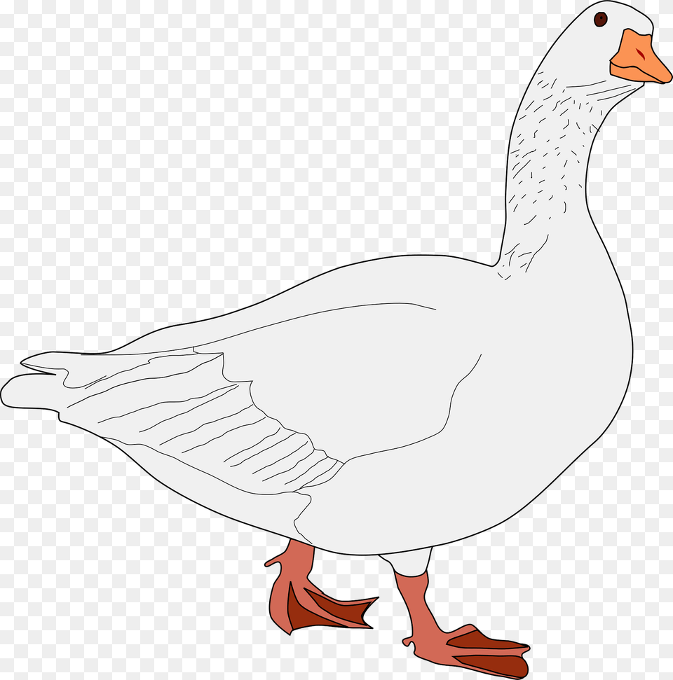 Goose Clipart, Animal, Bird, Waterfowl, Fish Free Png