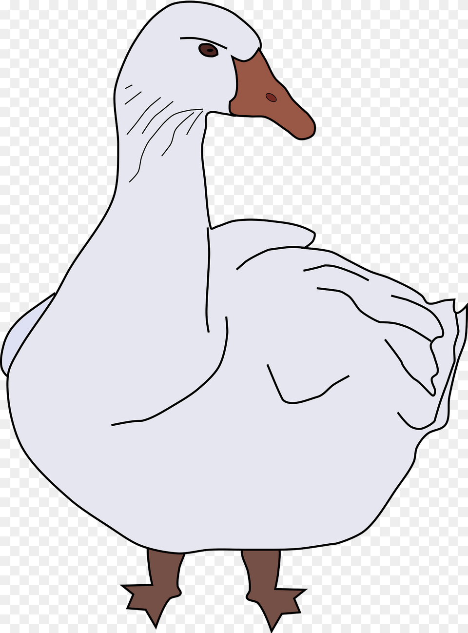 Goose Clipart, Animal, Bird, Waterfowl, Anseriformes Png