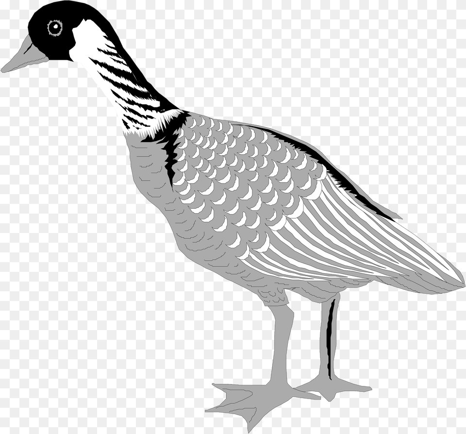 Goose Clipart, Animal, Bird, Waterfowl Png