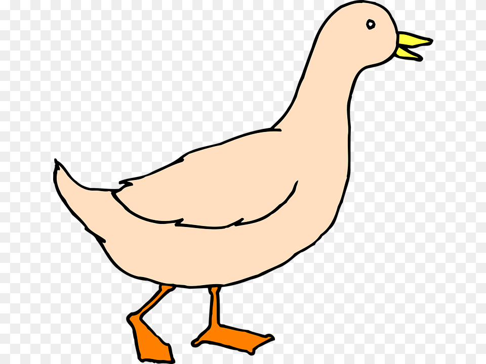 Goose Clipart Duck Walk, Animal, Bird, Pigeon Free Transparent Png