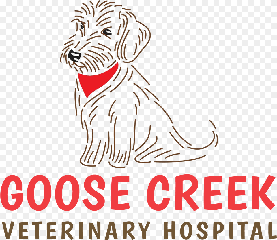 Goose Creek Veterinary Hospital, Adult, Person, Woman, Female Png Image