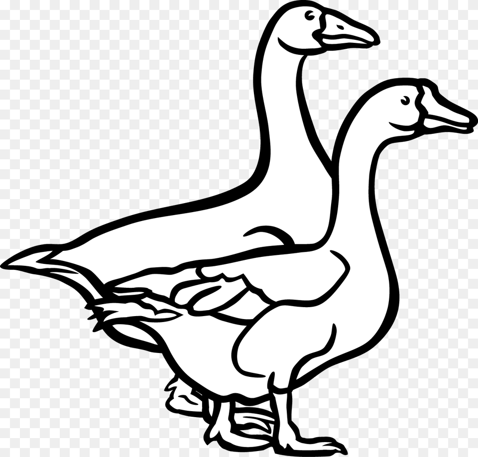 Goose Duck Bird Black And White Clip Art, Animal, Waterfowl Png