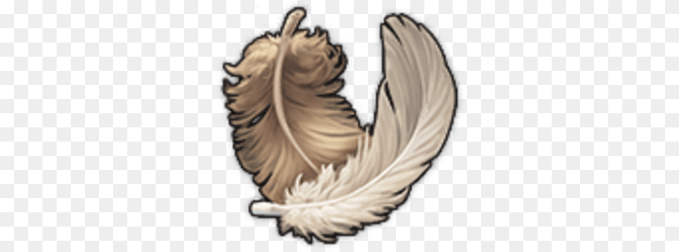Goose Feathers Anno 1800 Wiki Fandom Animal Product, Angel, Adult, Female, Person Free Png Download