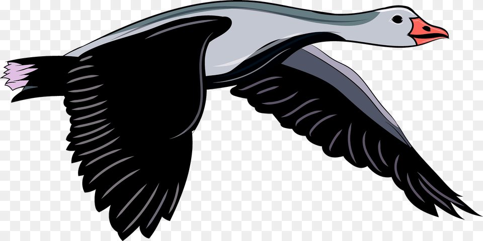 Goose In Flight Clipart, Animal, Bird, Waterfowl Free Transparent Png