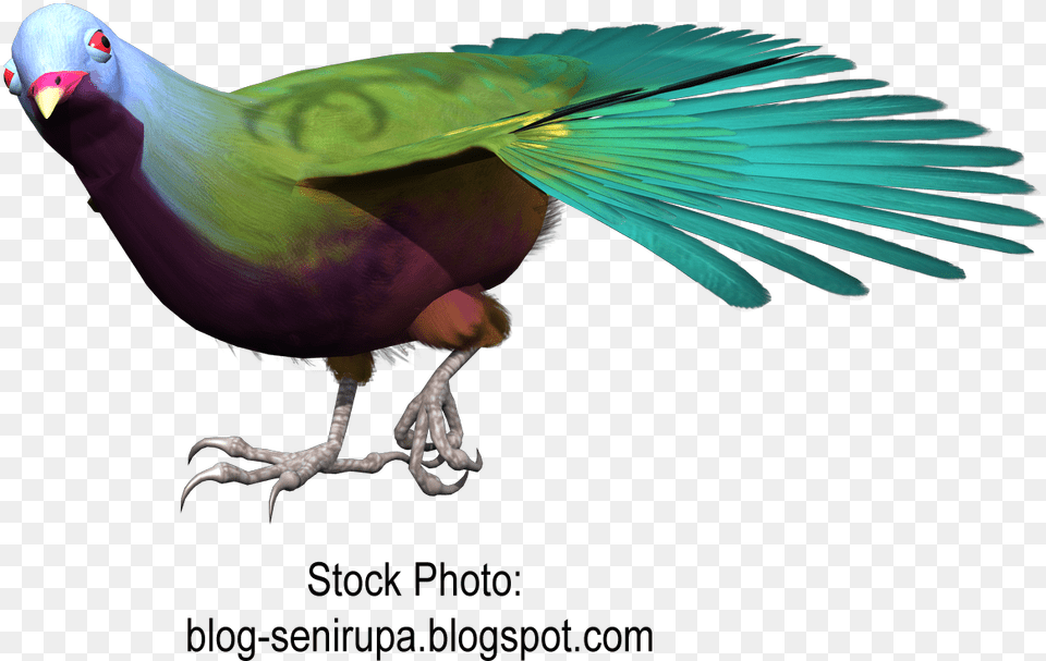 Goose Macaw Bird Gulls Beak Hq Clipart Parakeet, Animal Free Transparent Png