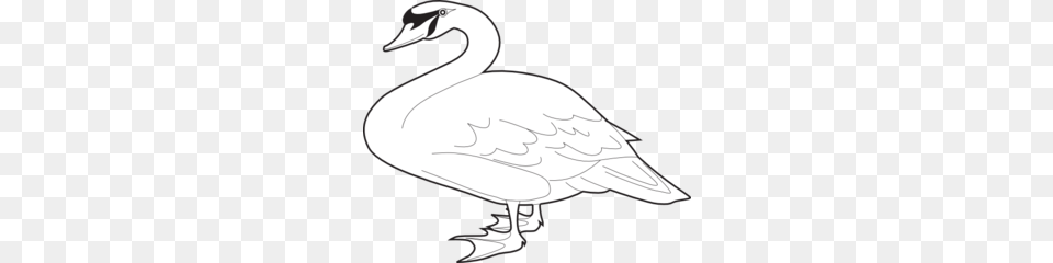 Goose Outline Clip Art, Animal, Bird, Waterfowl, Fish Png