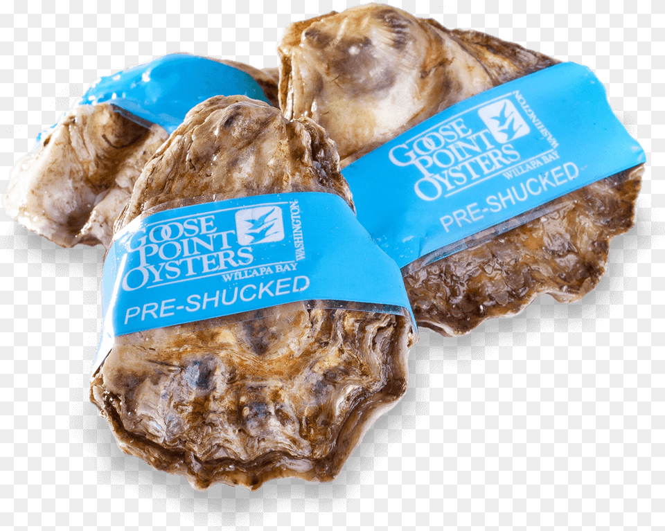 Goose Point Oysters Whole, Animal, Sea Life, Food, Seafood Free Png Download