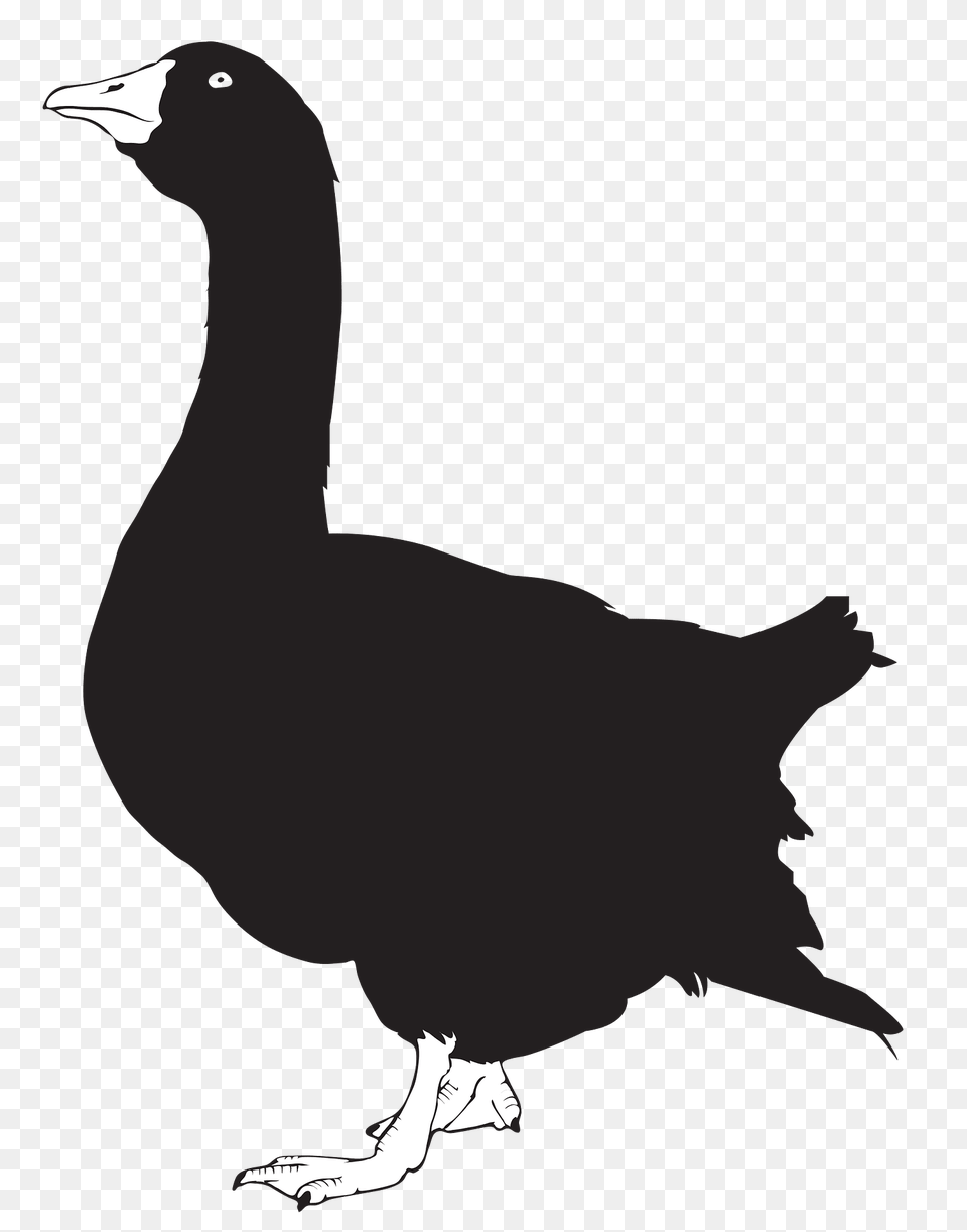 Goose Silhouette 02 Clipart, Animal, Bird, Penguin Free Png