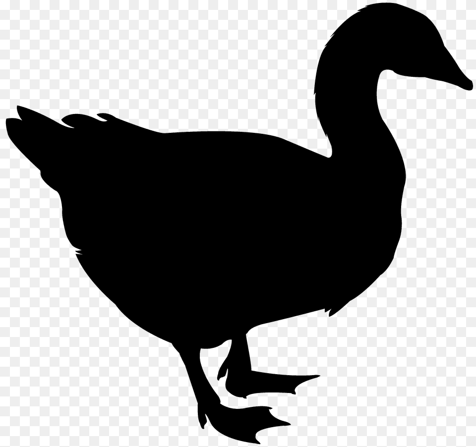 Goose Silhouette, Animal, Bird, Duck, Fish Free Transparent Png