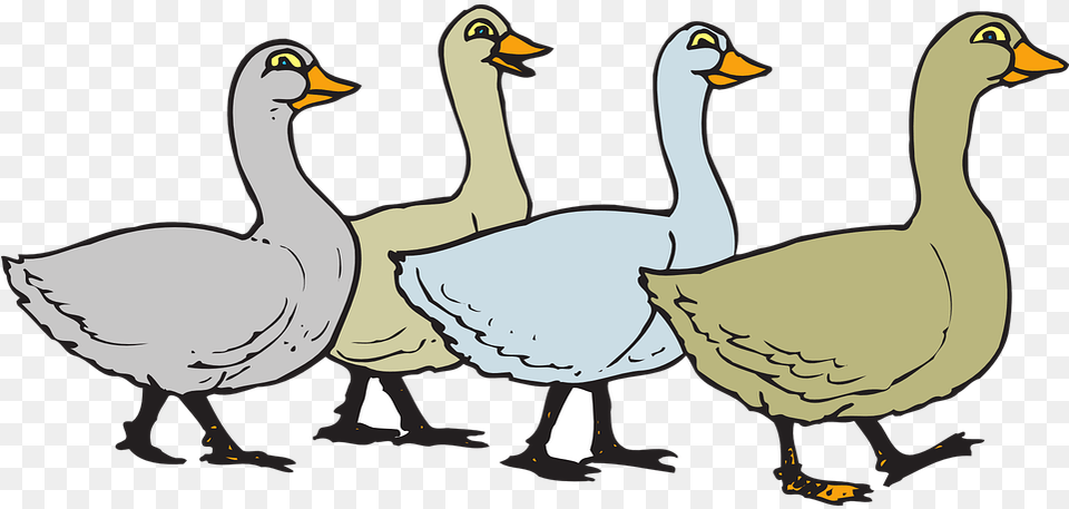 Goose Transparent Cartoon Gaggle Of Geese Clipart, Animal, Bird, Waterfowl, Penguin Png