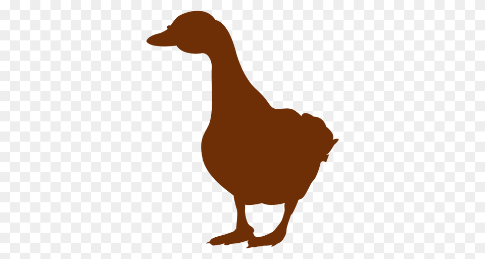 Goose Walking Silhouette, Animal, Bird, Bear, Mammal Png