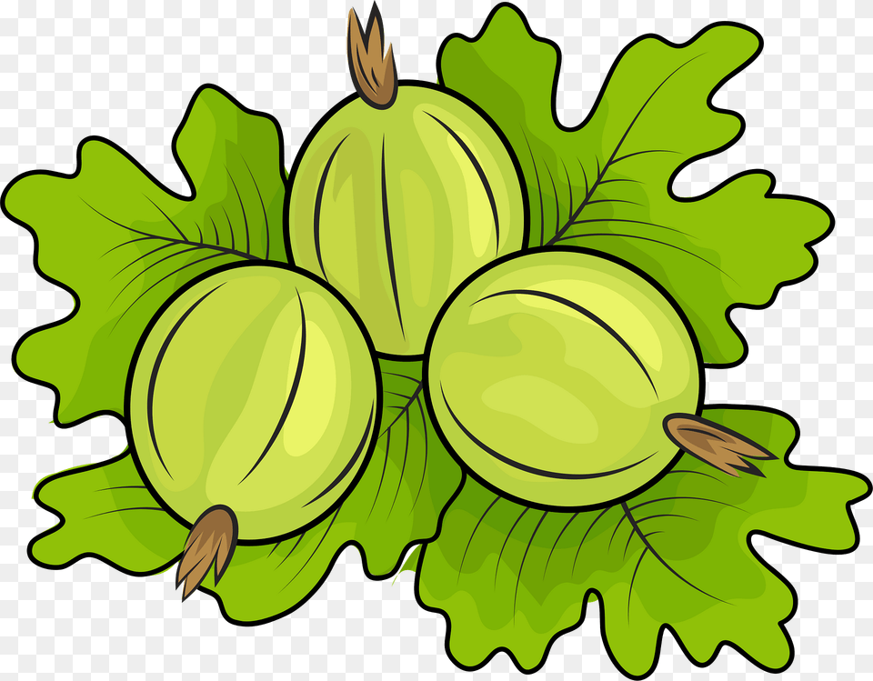 Gooseberries Clipart, Food, Produce, Nut, Plant Free Png