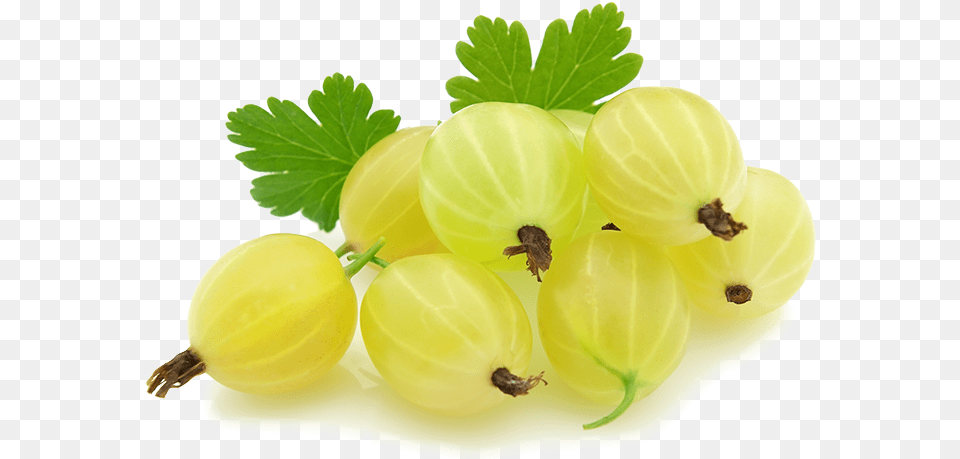 Gooseberry, Food, Fruit, Plant, Produce Png Image