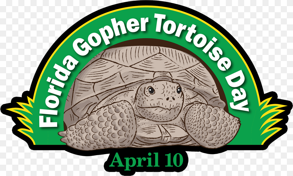 Gopher Tortoise Day Florida Gopher Tortoise Day, Animal, Reptile, Sea Life, Turtle Png