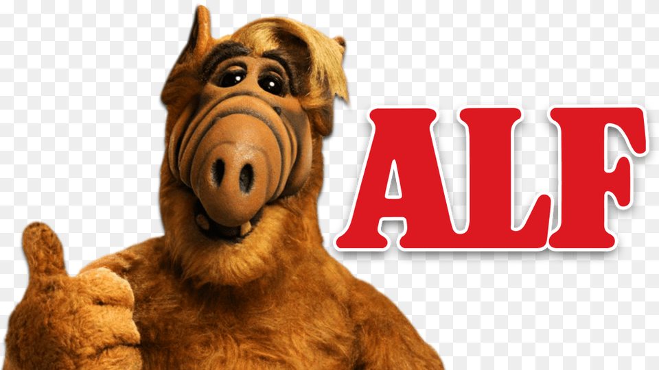 Gordon Shumway Could Be Heading Back To Tv In A New Alf Hd, Animal, Canine, Dog, Mammal Free Png Download