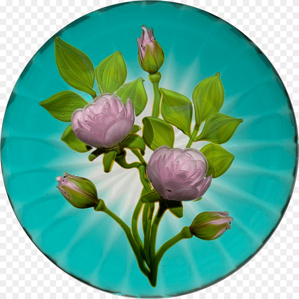 Gordon Smith 2019 Flamework Pink Rose Bouquet Set Over Transparent Blue Star Cut To Clear Base Tulip, Art, Pottery, Porcelain, Plant Free Png