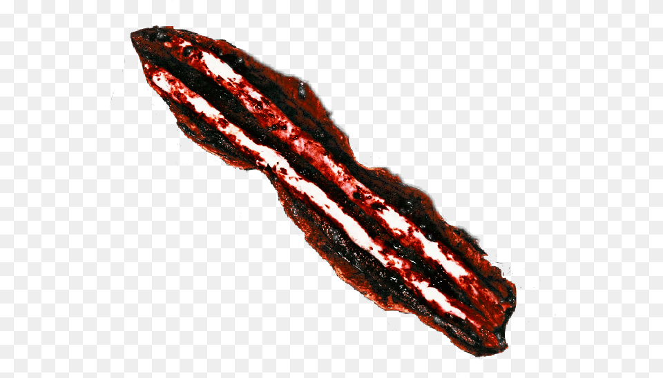 Gore Blood Wound Arm Bone Cut Horror Halloween, Accessories, Jewelry, Gemstone, Outdoors Free Transparent Png