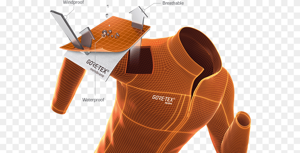 Goretex Gore Tex Layer, Chart, Plot, Adult, Female Free Png Download