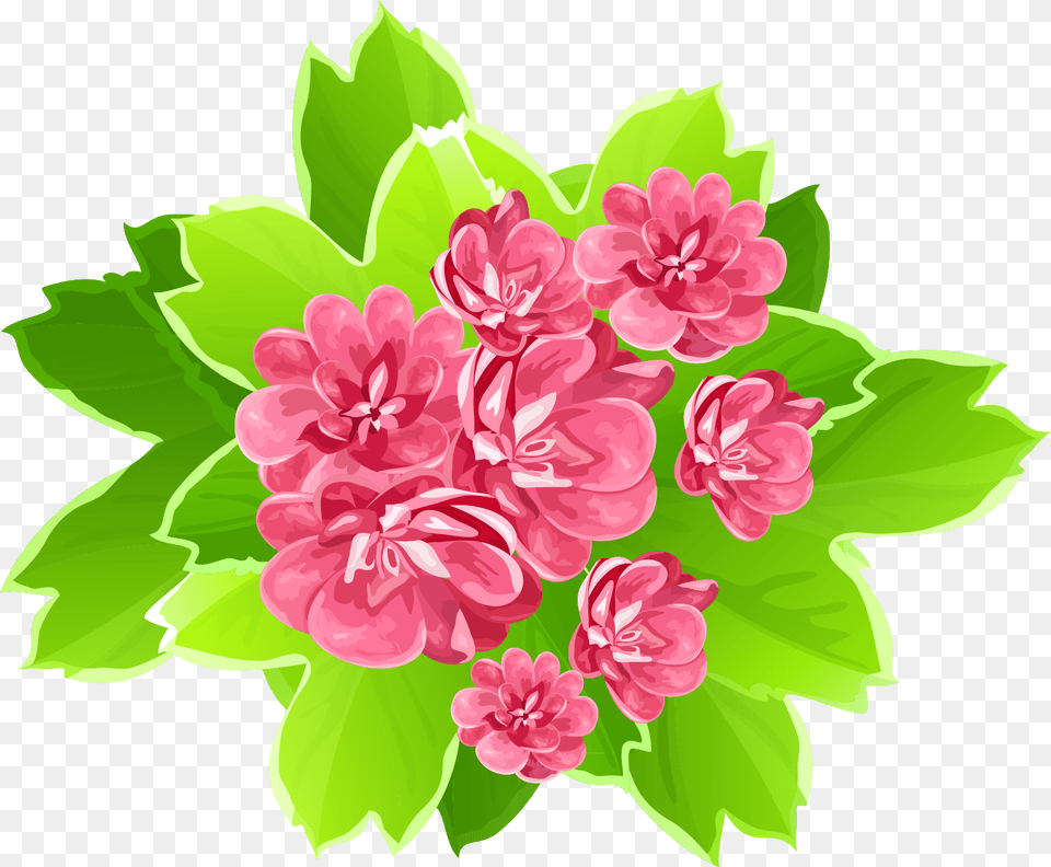 Gorgeus Clipart Summer Flower Beautiful Flower Clipart, Art, Pattern, Graphics, Geranium Free Transparent Png