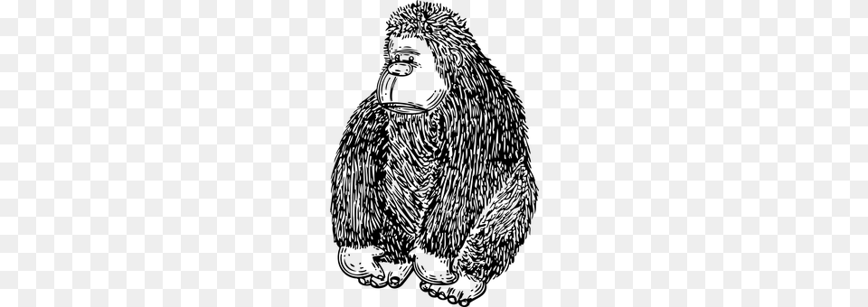 Gorilla Gray Png Image