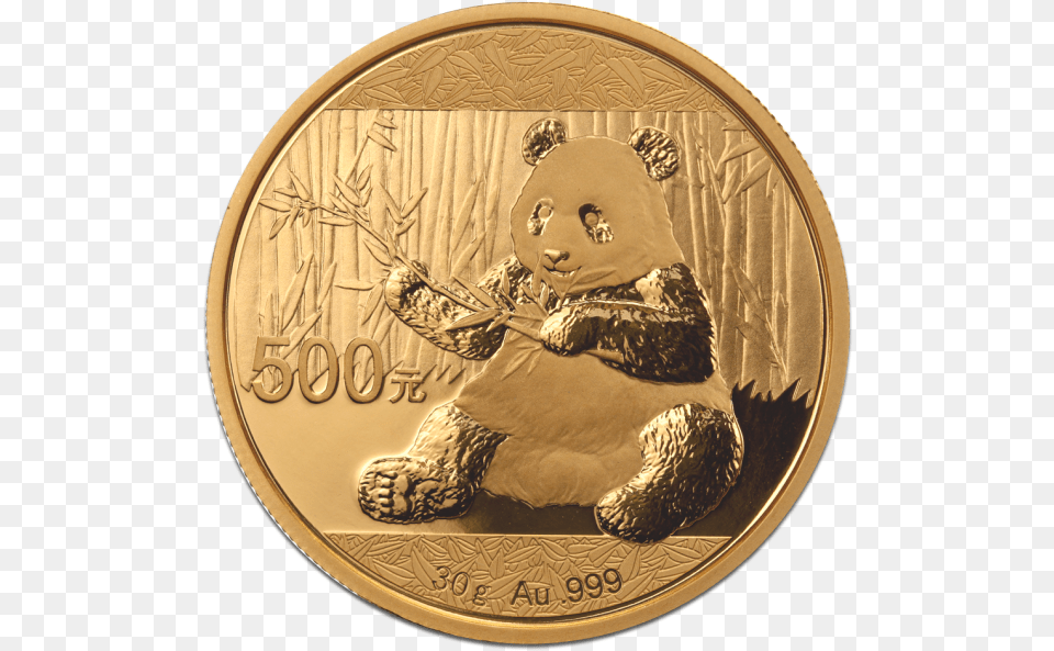 Gorilla, Gold, Coin, Money, Animal Free Png Download
