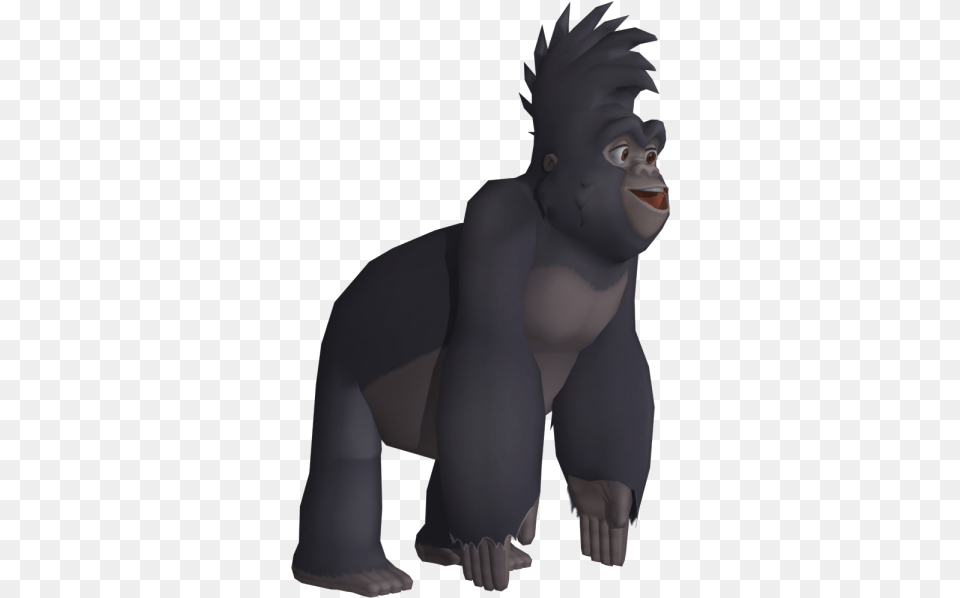 Gorilla, Baby, Person Free Transparent Png