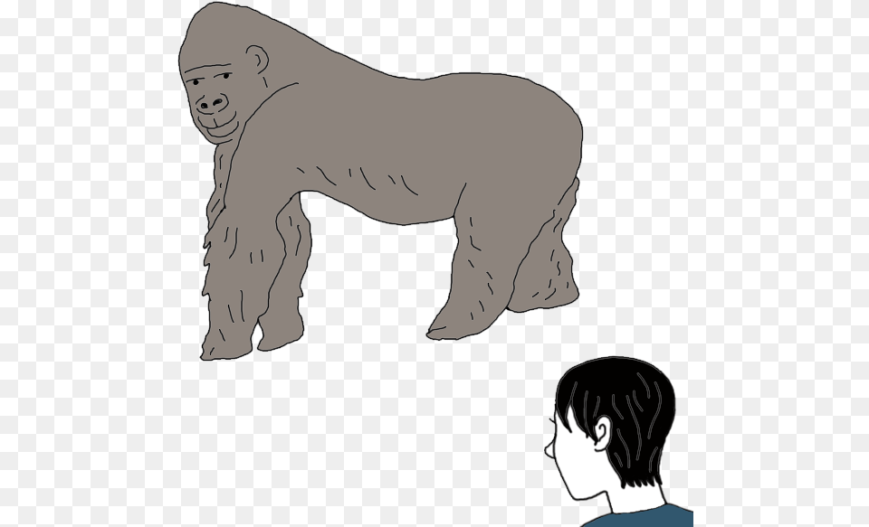 Gorilla, Person, Face, Head, Animal Png