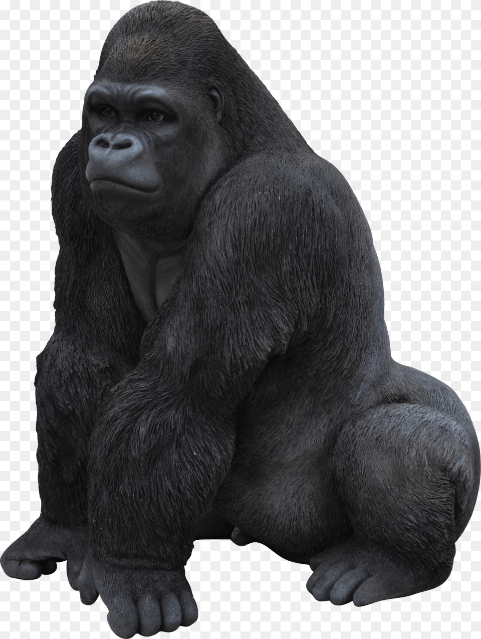 Gorilla, Animal, Ape, Mammal, Monkey Free Transparent Png