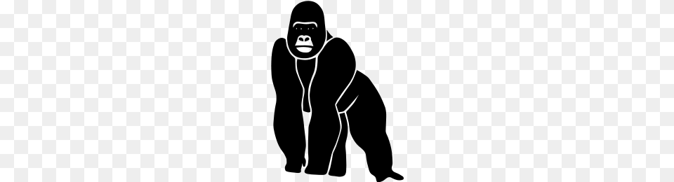 Gorilla Ape Monkey King Kong Godzilla Silver Back Orang Utan Zip, Gray Png