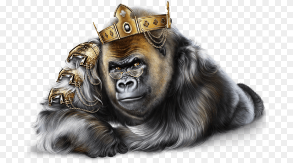 Gorilla Ape With A Crown, Accessories, Animal, Mammal, Wildlife Png