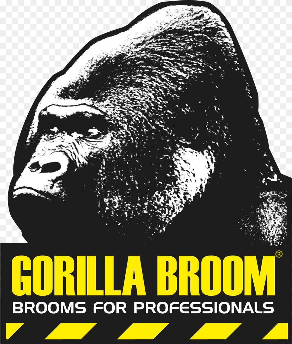 Gorilla Broom, Wildlife, Animal, Ape, Mammal Free Png