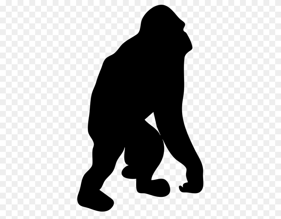 Gorilla Chimpanzee Primate Silhouette Bornean Orangutan, Gray Free Png Download