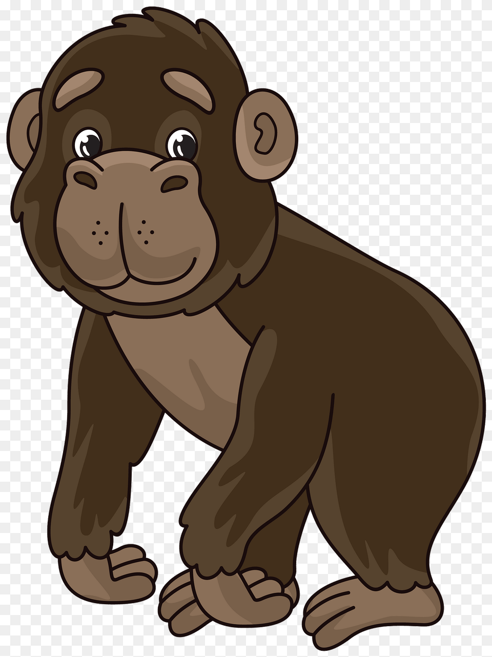 Gorilla Clipart, Animal, Bear, Mammal, Wildlife Png