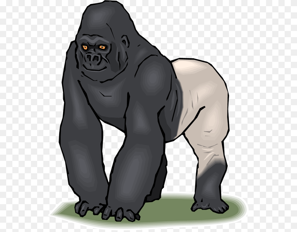 Gorilla Clipart, Wildlife, Animal, Ape, Mammal Png