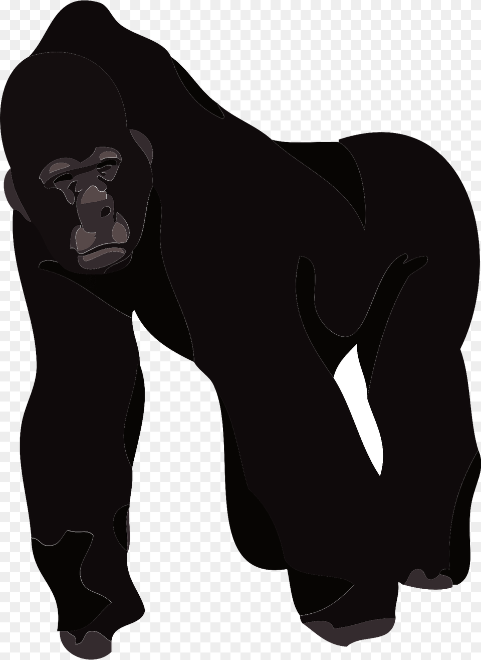 Gorilla Clipart, Animal, Ape, Mammal, Wildlife Free Png Download