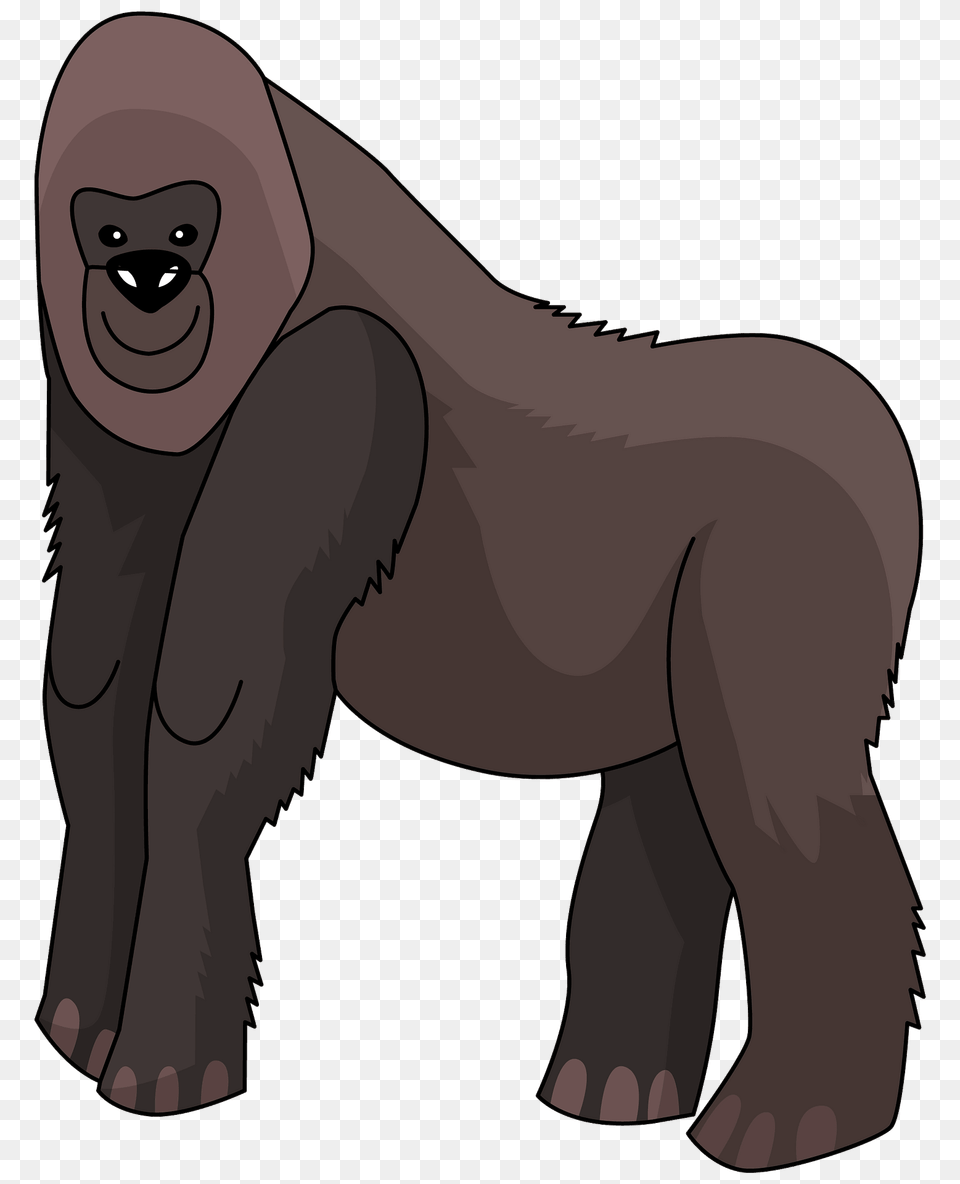 Gorilla Clipart, Animal, Ape, Mammal, Wildlife Free Png Download