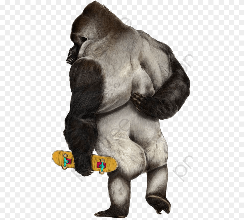 Gorilla Clipart Realistic Animals Skateboarding Art, Animal, Ape, Mammal, Wildlife Free Png Download