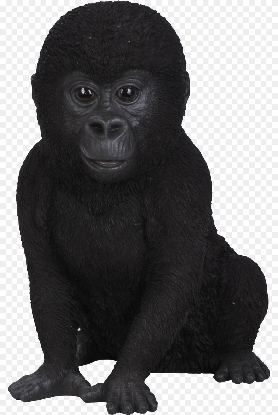 Gorilla Download Baby Gorilla No Background, Animal, Ape, Mammal, Monkey Free Transparent Png