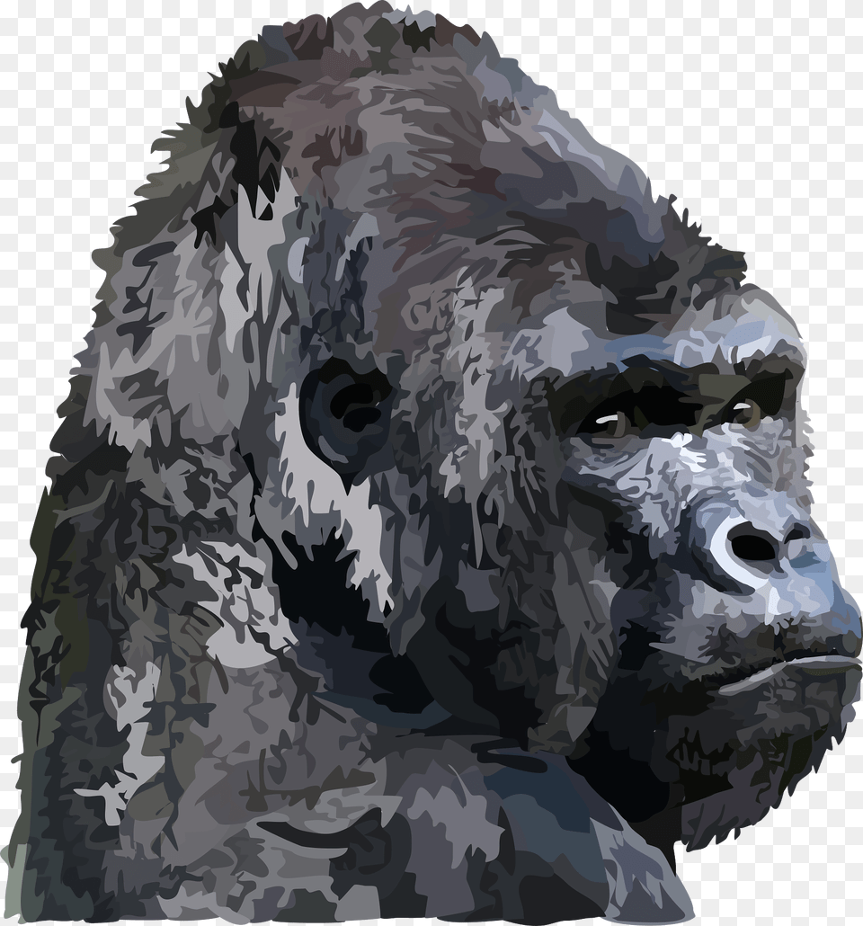 Gorilla Face Clipart, Animal, Ape, Mammal, Wildlife Png Image