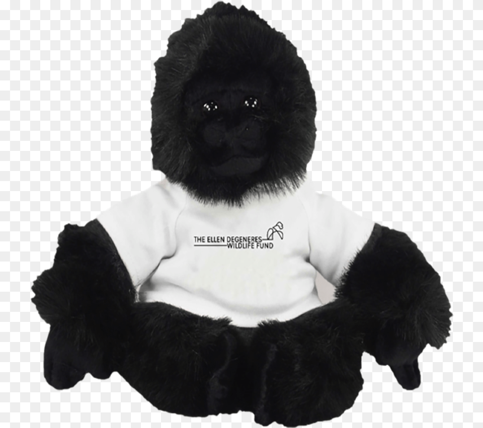 Gorilla Fund Bear, Animal, Mammal, Wildlife, Ape Png Image