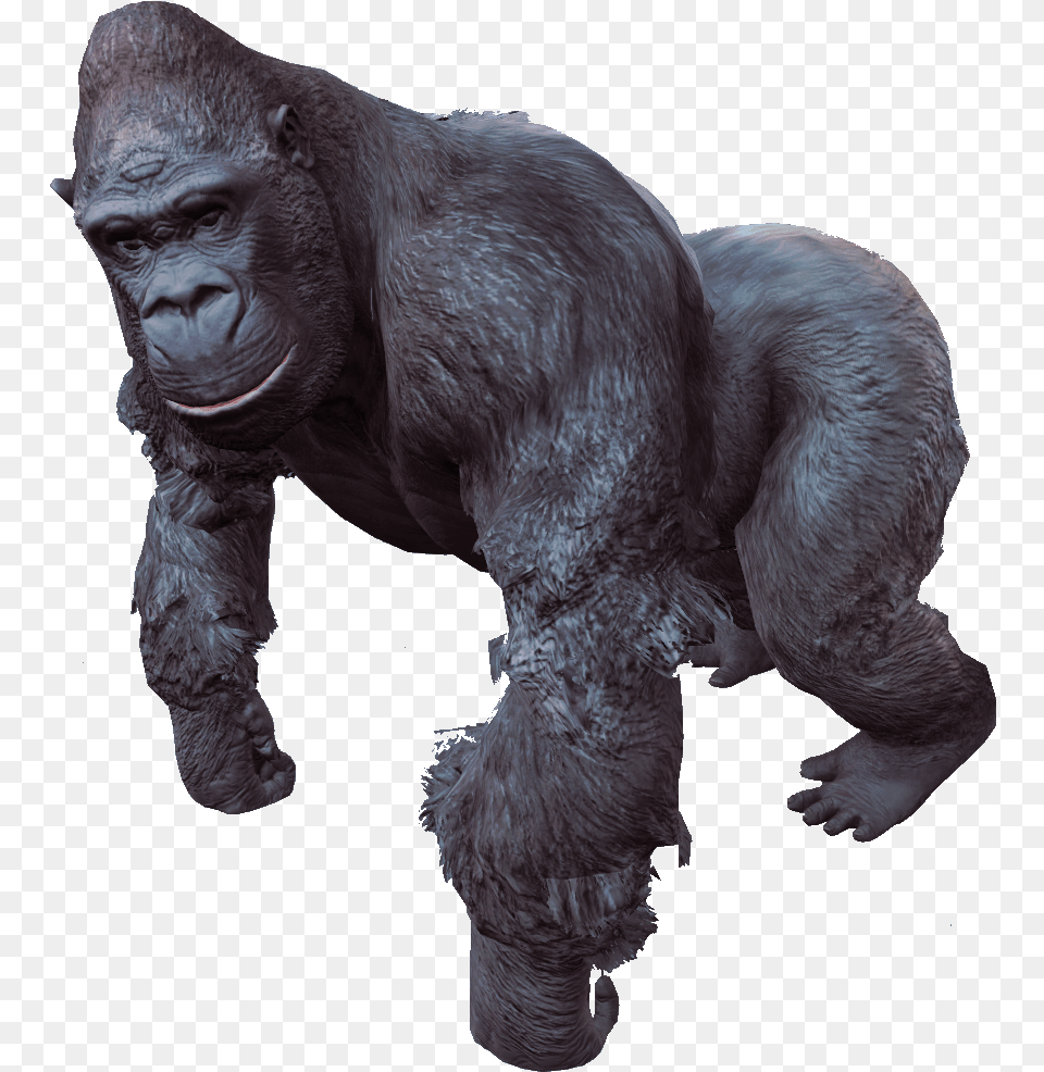 Gorilla Gorilla Attack, Animal, Ape, Mammal, Wildlife Png Image