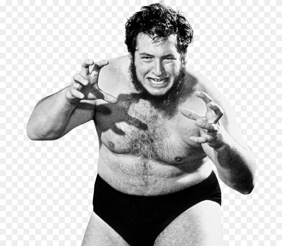 Gorilla Monsoon, Adult, Photography, Person, Man Png Image