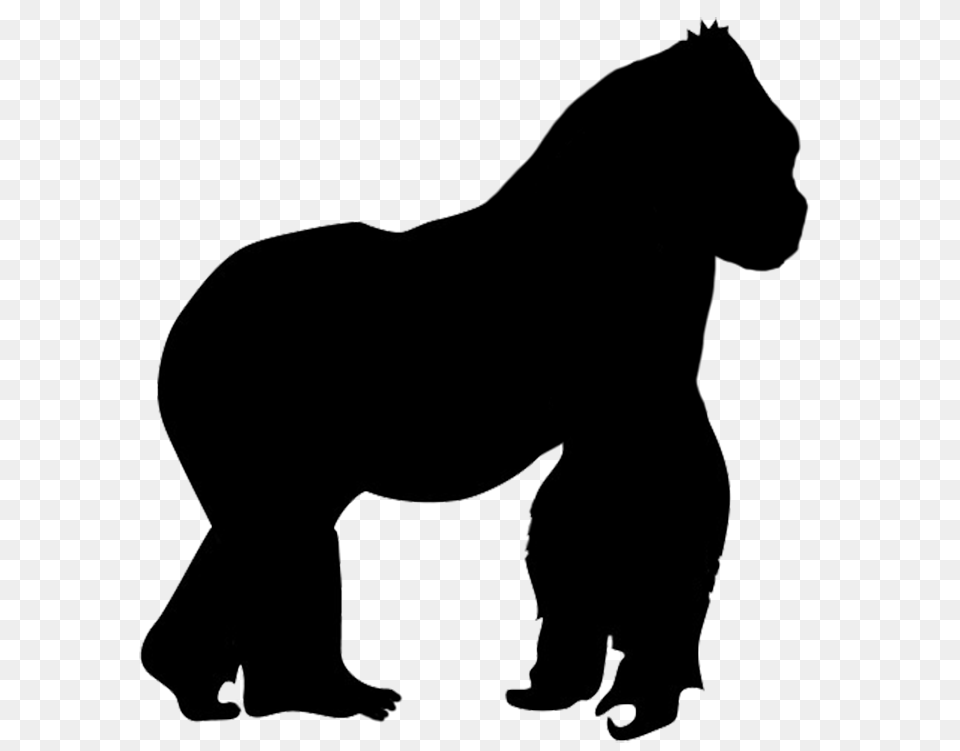 Gorilla Silhouette Scetch, Adult, Male, Man, Person Free Png