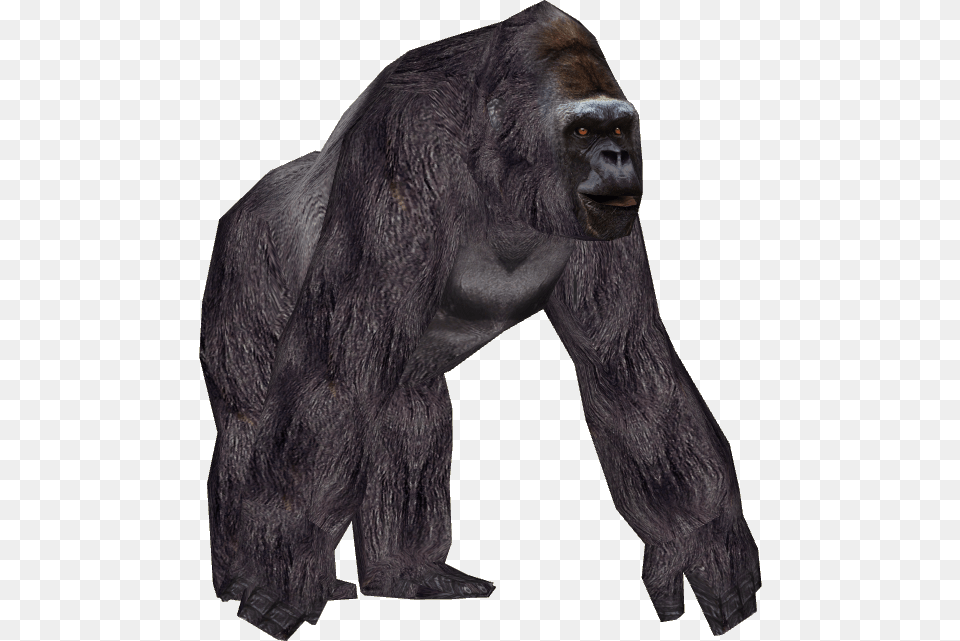 Gorillamountainreskin Eryel Zoo Tycoon Gorilla, Animal, Ape, Mammal, Wildlife Png